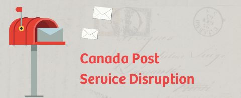 Image Alt Text