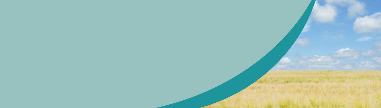 header012.jpg